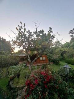 Casa Nora Malinalco: entire estate w/pool - - 3