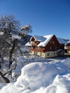 Linarhof Apartment Urlaub am Bio Bauernhof - Haus im Ennstal - 8