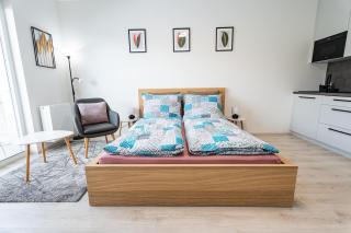Edmund's apartments 21 - Olomouc - 2
