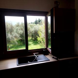 Elaionas - Ierissos - 1