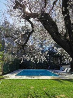 Villa des Trois Pins - Piscine, Climatisation, Pétanque et Tennis - Rousset - 2