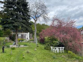 Haus Gisela - Thale - 8