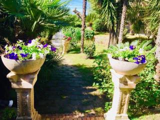 Villa Rachele - Procida - 4
