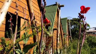 Valhalla Glamping House - Bombinhas - 9