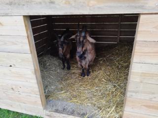 Chalet - Proche circuit - Au Calme - 1