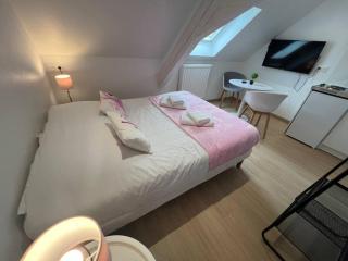 Esprit France, joli studio au coeur de Mulhouse - Mulhouse - 0