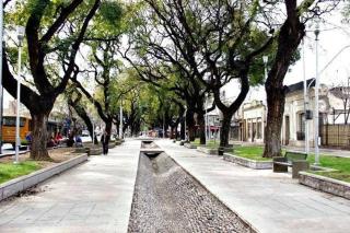 Somos Nomades Departamento (entero) 1 Zona Parque Central - La Cieneguita - 4