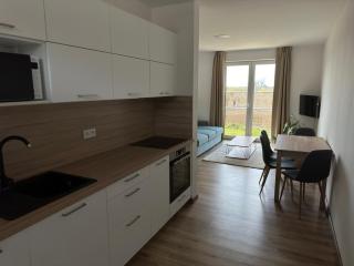 Apartmán Anna - Neustadt an der Mettau - 3
