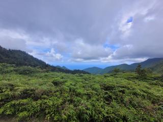 Tim's & Mag's Home Stay - Roseau - 7