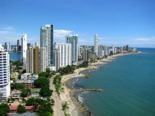 Delfin 207 - Cartagena de Indias - 9