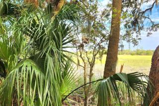 A Secluded Quiet Oasis with Beach Pass - St. Helena Island - 5