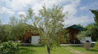 Agriturismo Tres Montes - Sorso - 8