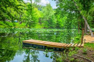 Slowpoke Cabin on Turtle Creek - Kerrville - 0