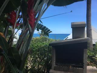 Manapany loft - Saint-Joseph - 3