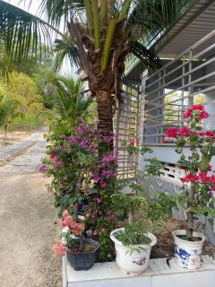 House Mũi Né Phan Thiết KentTown - Ấp Thiện Sơn - 5