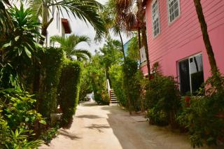 Palmetto Garden Cottage - Caye Caulker - 4
