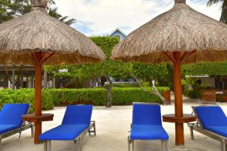 Palmetto Garden Cottage - Caye Caulker - 3