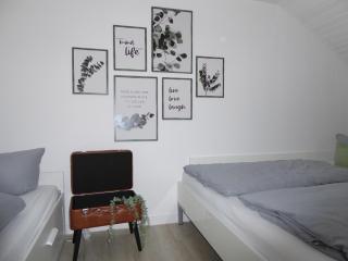 Greenflair Winterberg Ferienwohnung 5 Pers Pool Sauna Wifi near Lift - Winterberg - 1