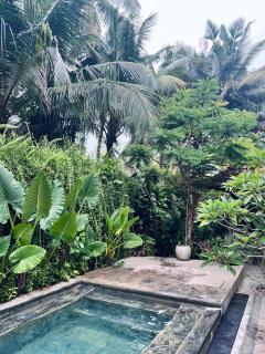 DreamTime - Hikkaduwa - 5