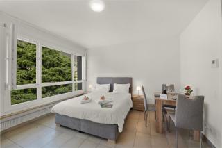 Alta Vista - Happy Rentals - 3