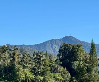 Gold Crest Cameron Highlands - Tanah Rata - 9
