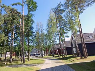 Stranddistel - Glowe - 8