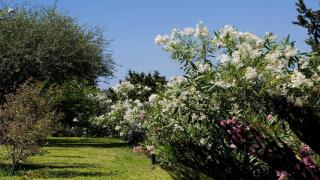 Theasis Villas - Lygia - 2