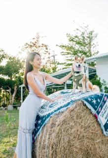 海角42號三館包棟民宿-寵物友善 - 8