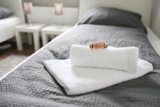 Apartment in Schwerte - 8