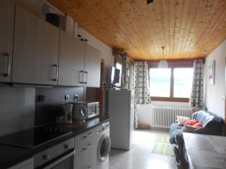 bouton d or - La Bresse - 1
