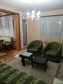 Apartmani Mancic Sokobanja - Soko Banja - 9