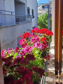 Dhami Apartment - Gjirokastër - 8