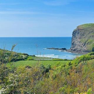 The Haven a quiet countryside retreat - Bude - 2