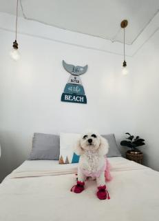 StayNest Matabungkay - Private Vacation House - 7