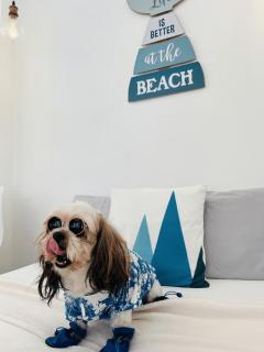 StayNest Matabungkay - Private Vacation House - 3