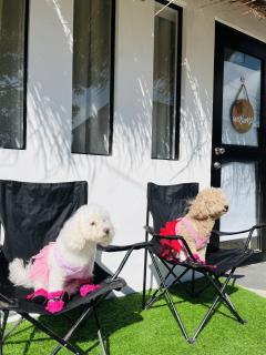 StayNest Matabungkay - Private Vacation House - 4