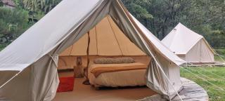 Nature Retreat - Laurel Forest - Seixal - 8