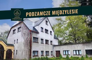 Zamek Międzylesie - Międzylesie - 9