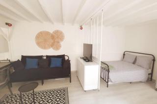 Grand studio proche Paris avec terrasse - 8