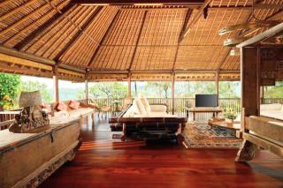 Natural View 2 BR Private Pool Villa ZN18 - Ubud - 8