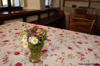 Dormouse House in Slovenia - 4