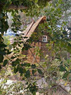 Mas del Flor - Villelongue-dels-Monts - 5