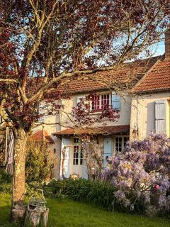 La Maison dans la Brie - Saint-Augustin - 6