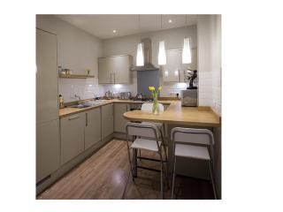 The Lane Apartment - Edimburgo - 1