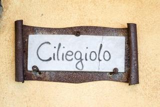 Agriturismo Poggio delle Conche - 1