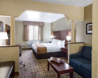 Quality Suites Midland North Loop 250 - Midland - 8