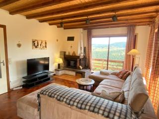 Maison d'altitude avec vue panoramique à Gérardmer - Gérardmer - 8