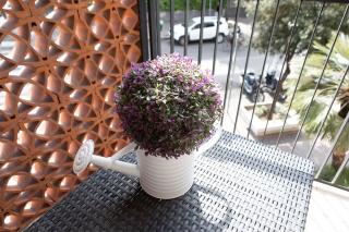 Affittacamere Piazza Mazzini - Terracina - 3
