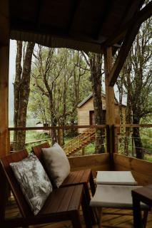 Kanopea Forest Lodge - 4