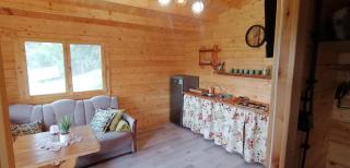 Chatka na Wzgórzu, Jacuzzi, Staw z możliwością łowienia ryb, Cisza, Spokój - Barczewo - 3